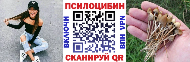 Псилоцибиновые грибы GOLDEN TEACHER  купить  цена  Оленегорск 