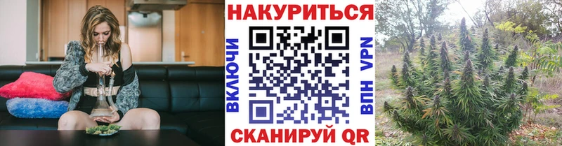 Каннабис семена  Оленегорск 